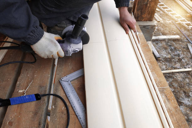 Best Brick Veneer Siding  in Sioux Falls, SD